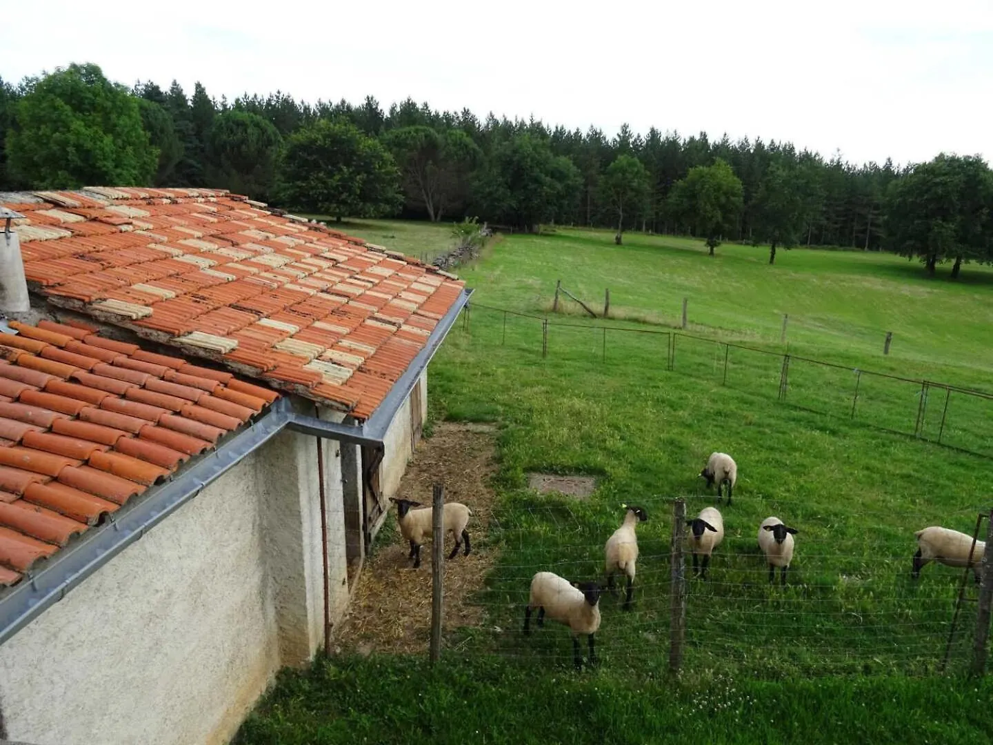 Les Hirondelles De Montsec Villa Pampelonne 0*,  France